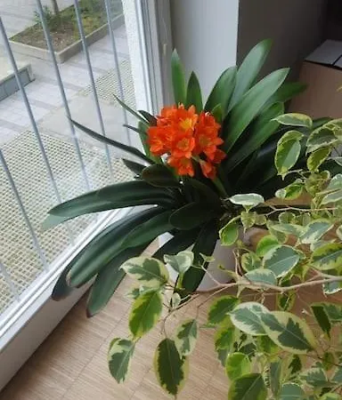 1 With 2rooms In Мюнхен