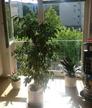 1 With 2rooms In